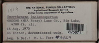 Image Associated With the Occurence